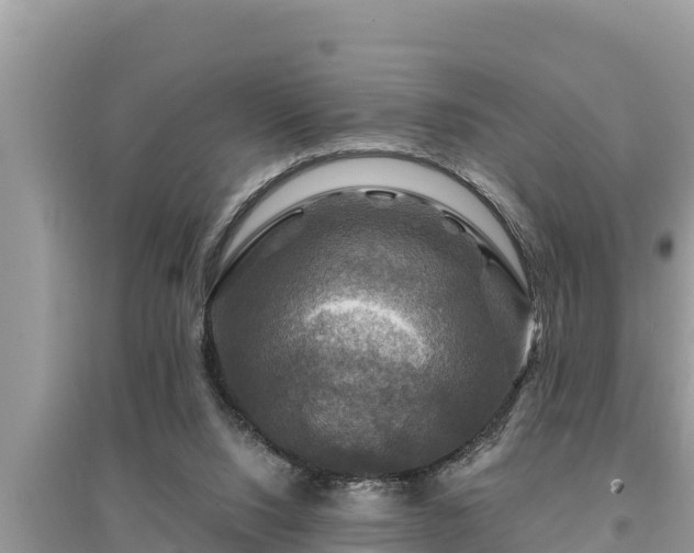 X0000095550064200712211418