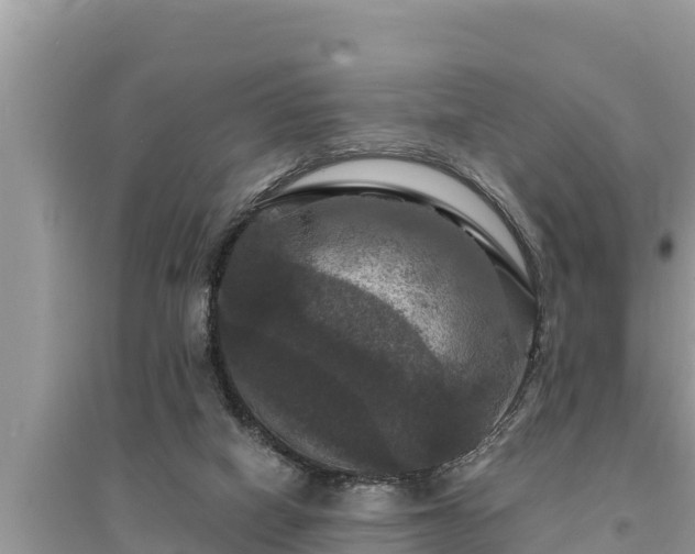 X0000095550066200712211419