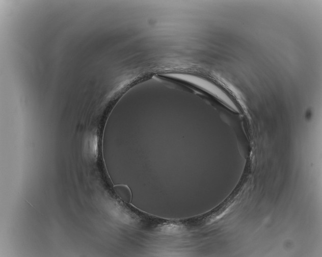 X0000095550067200712211419