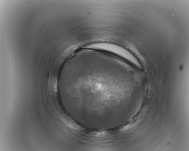 X0000095550068200712211419