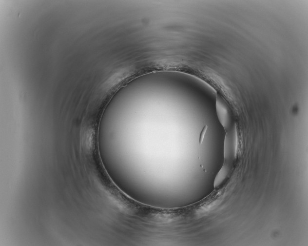 X0000095550071200712211419