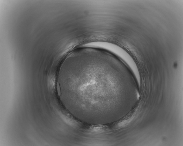 X0000095550072200712211419