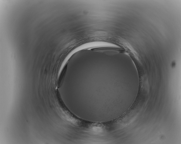 X0000095550073200712211419