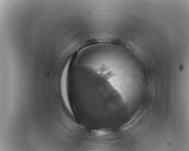 X0000095550074200712211419