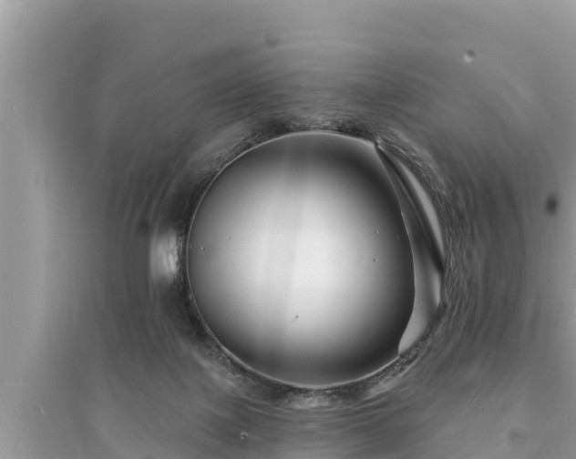 X0000095550075200712211419