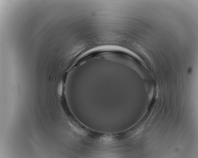 X0000095550076200712211419