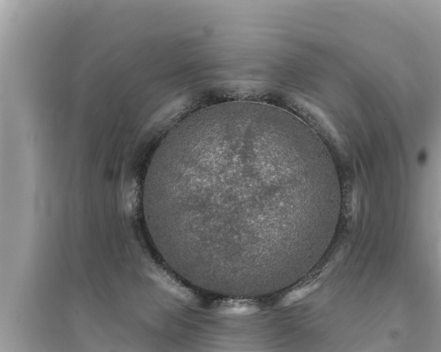 X0000095550077200712211419