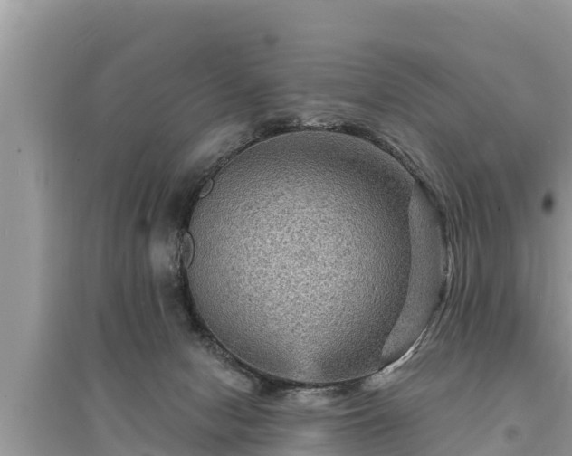 X0000095550078200712211419