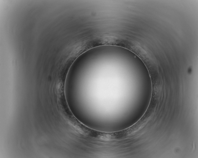 X0000095550079200712211419