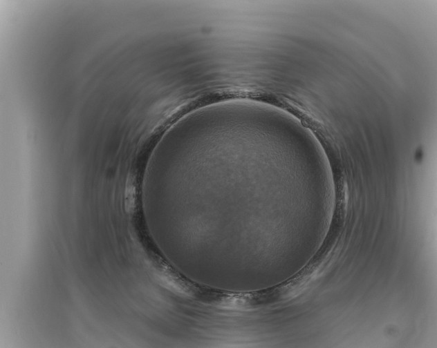 X0000095550080200712211419