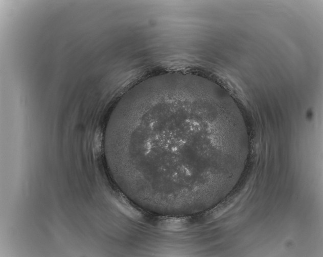 X0000095550081200712211419