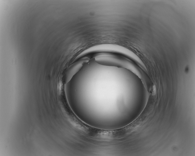 X0000095550084200712211419