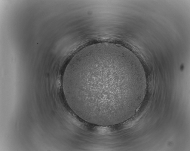 X0000095550085200712211419