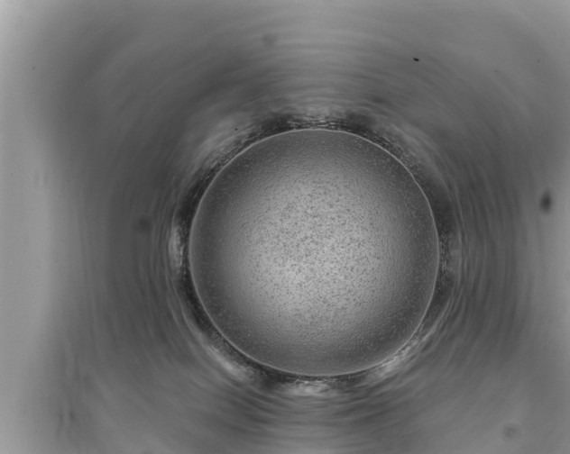 X0000095550086200712211419