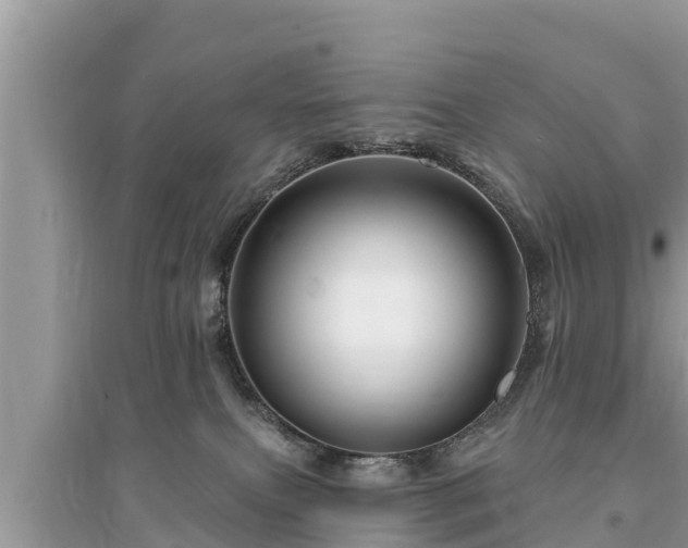 X0000095550087200712211419