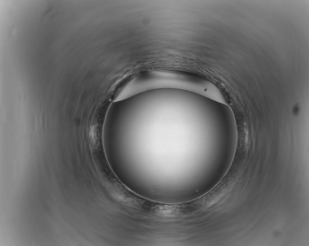 X0000095550088200712211419