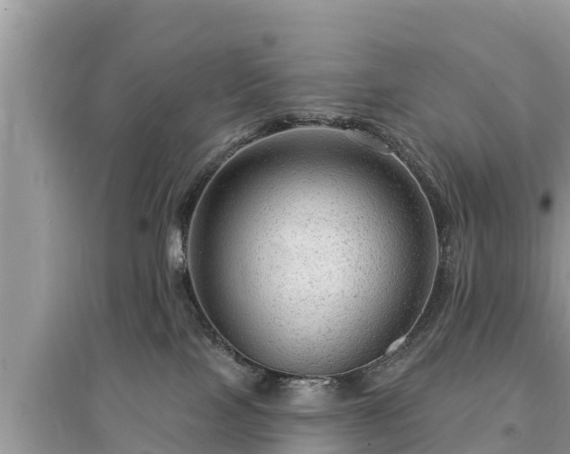 X0000095550089200712211419