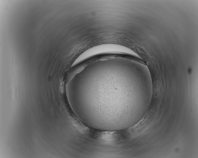 X0000095550090200712211419