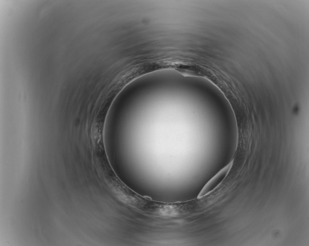 X0000095550091200712211419