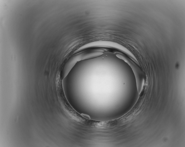 X0000095550092200712211419