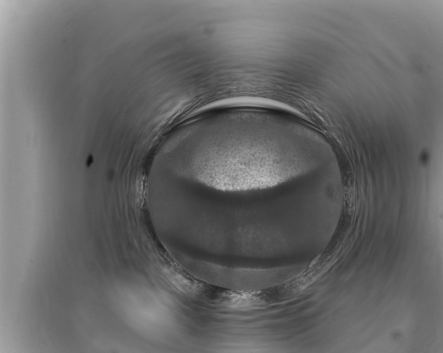 X0000095550093200712211419