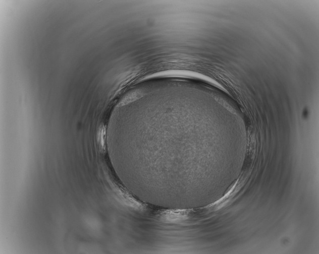 X0000095550094200712211419