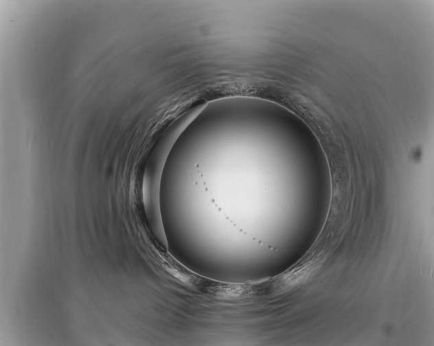 X0000095550096200712211419