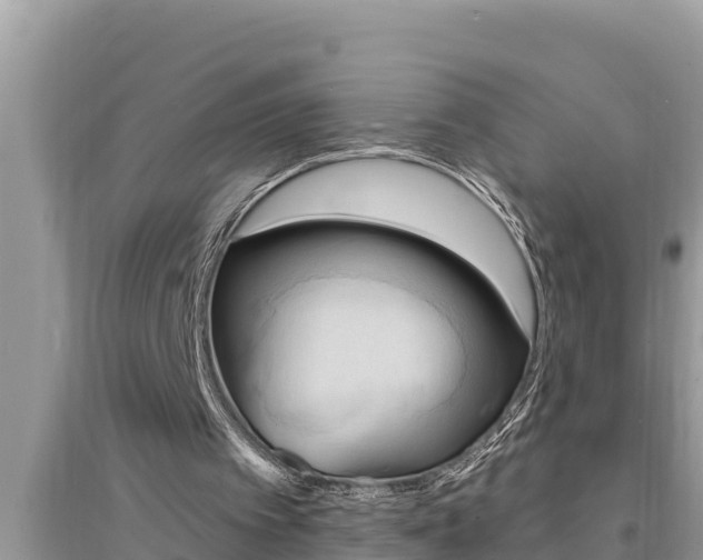 X0000095550097200712211418