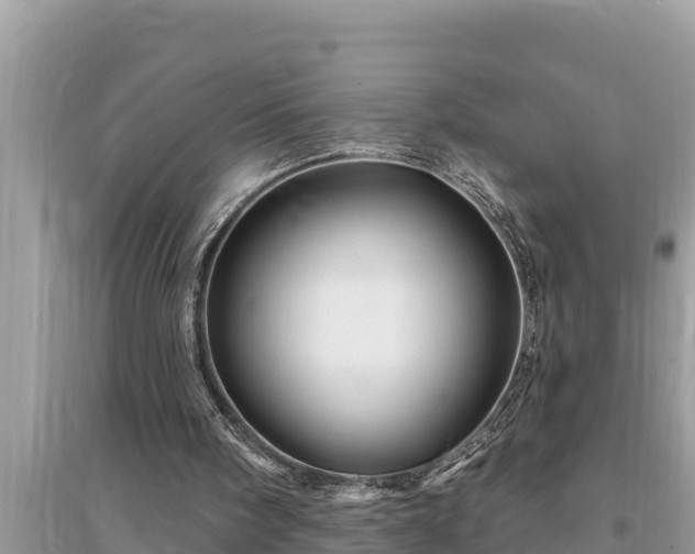 X0000095550098200712211418