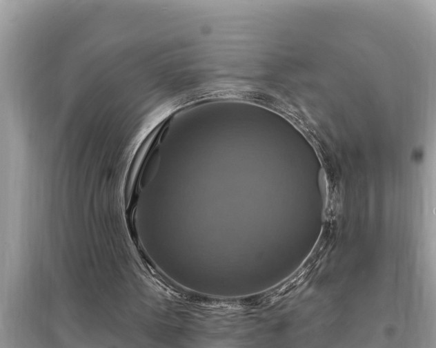 X0000095550099200712211418