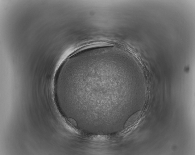 X0000095550102200712211418