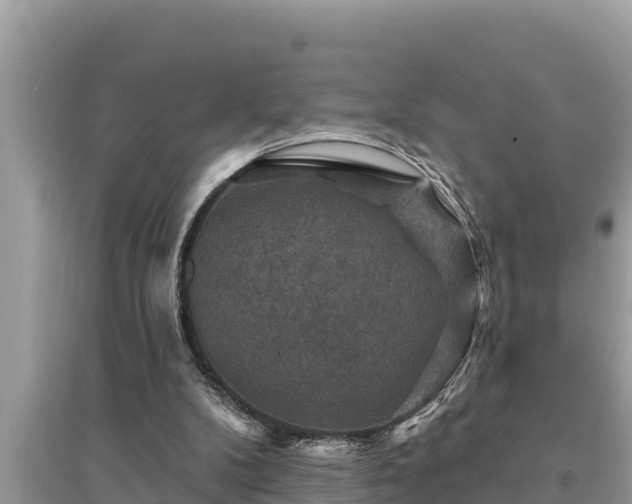 X0000095550104200712211418