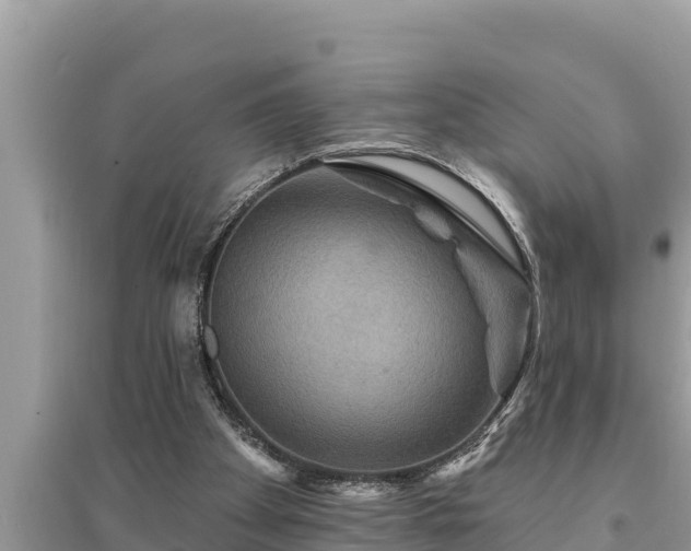 X0000095550105200712211418