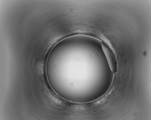 X0000095550106200712211418