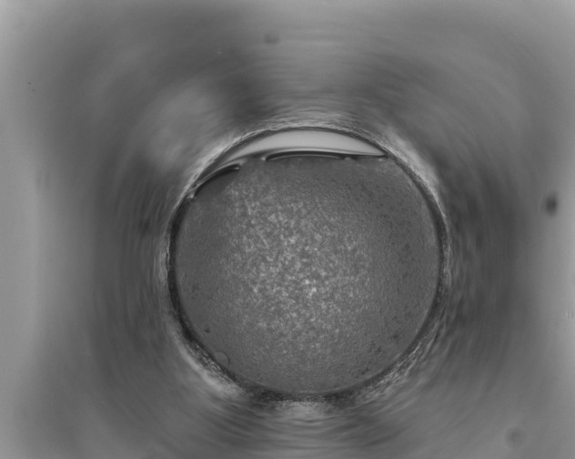 X0000095550107200712211418