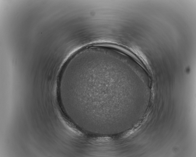 X0000095550108200712211418