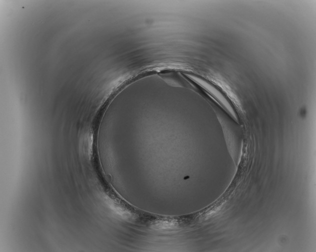 X0000095550110200712211418