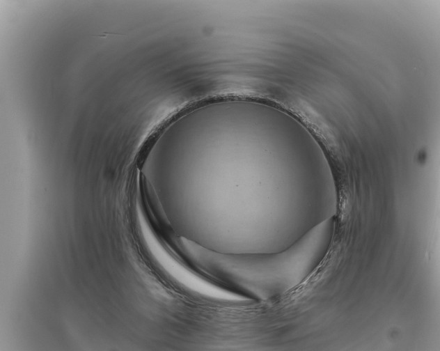 X0000095550112200712211418