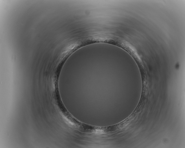 X0000095550114200712211418