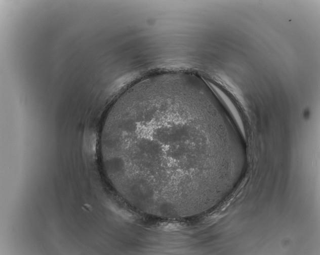 X0000095550115200712211418