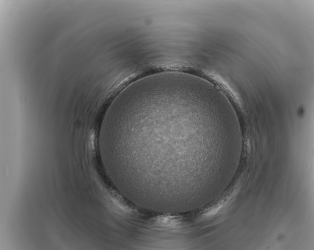 X0000095550117200712211418