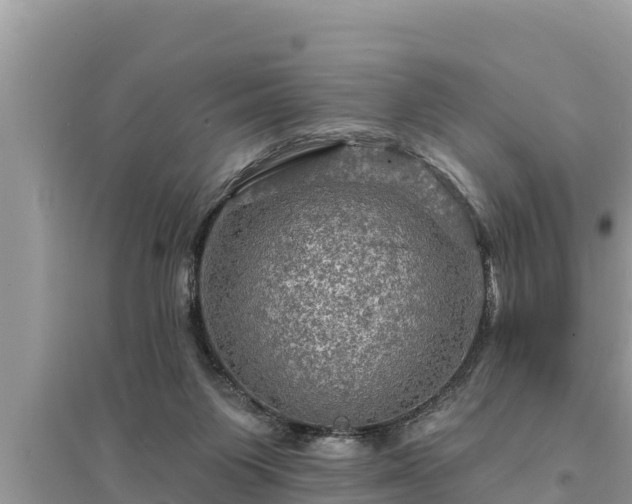 X0000095550119200712211418