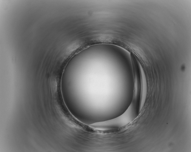 X0000095550120200712211418