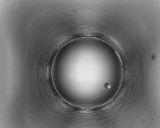 X0000095550121200712211418