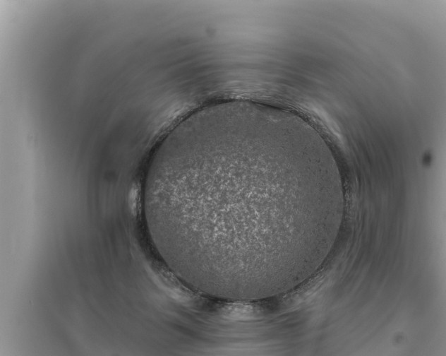 X0000095550123200712211418