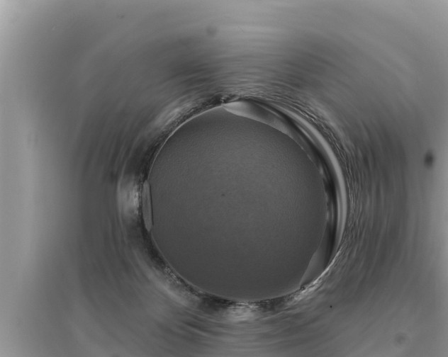 X0000095550124200712211418