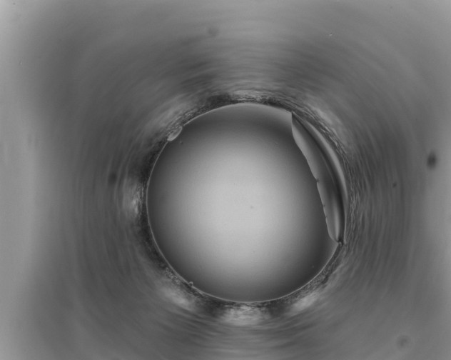 X0000095550125200712211418