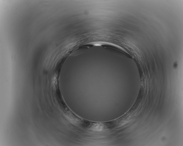 X0000095550127200712211418