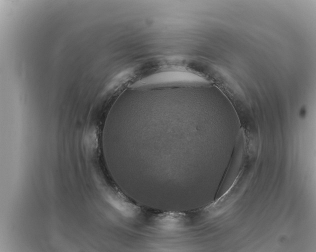 X0000095550128200712211418