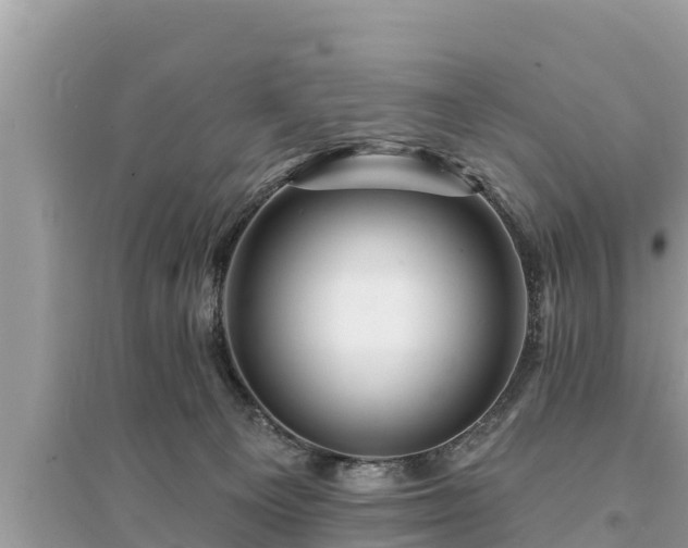 X0000095550129200712211418